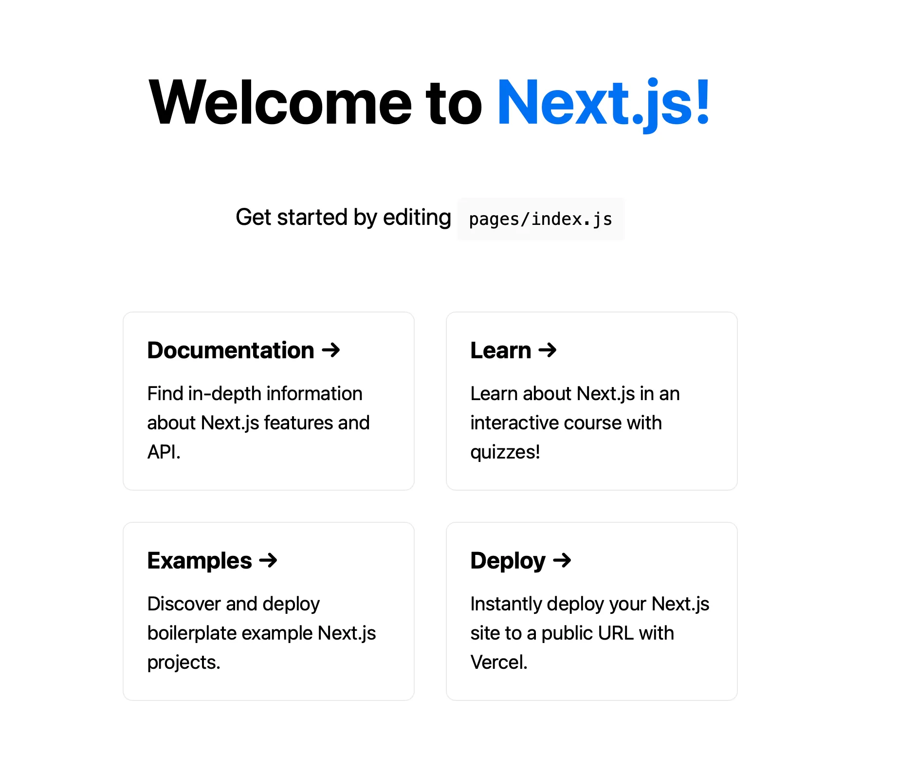 Next.js starter screen